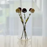 Apartman Premium 2 Bedroom With Ground Floor Terrace And A Personal Little Cinema