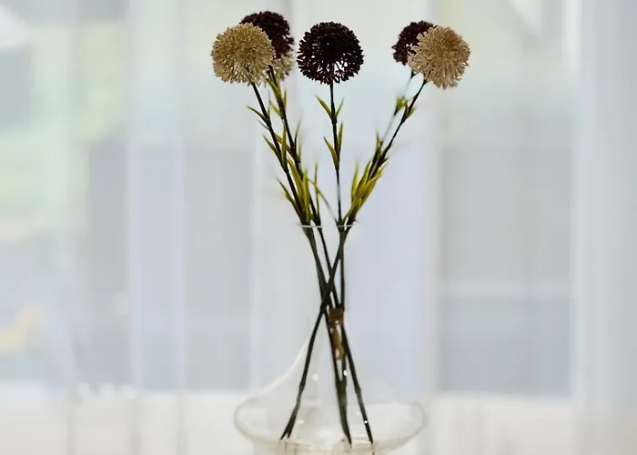 Apartment Premium 2 Bedroom With Ground Floor Terrace And A Personal Little Cinema