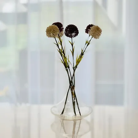 Daire Premium 2 Bedroom With Ground Floor Terrace And A Personal Little Cinema