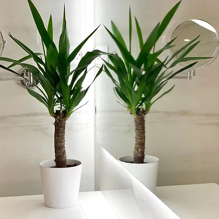 Premium 2 Bedroom With Ground Floor Terrace And A Personal Little Cinema Διαμέρισμα *